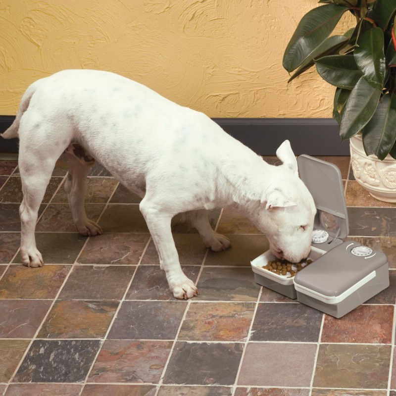 PetSafe Eatwell 2 Meal Pet Feader автоматическая кормушка для собак и кошек, двойная PetSafe Eatwell 2 Meal Pet Feader автоматическая кормушка для собак и кошек, двойная